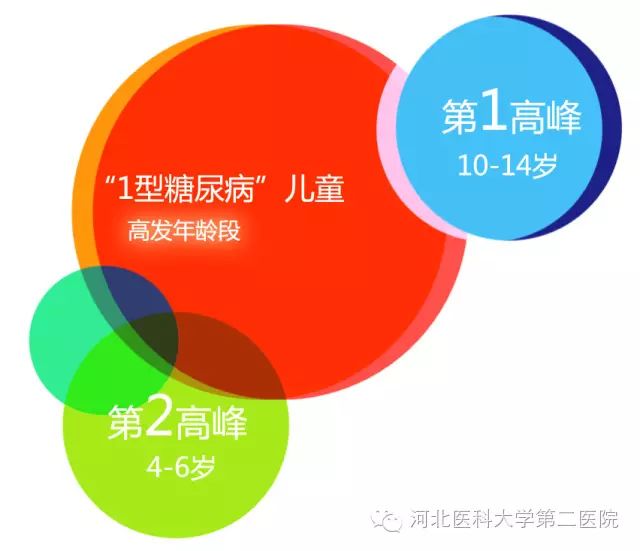 目前低年龄儿发病呈快速增长趋势。我院儿童糖尿病发病情况与全球和全国趋势相符。