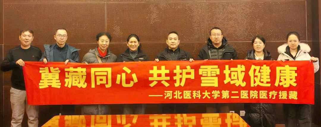 阿里地区人民医院次仁巴珍副院长（左四）和医疗队就调研细节进行座谈